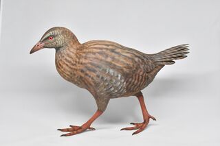 New Zealand Weka - View 1