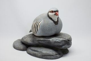 Chukar Partridge - View 2 - Private collection