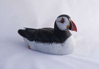 Atlantic Puffin