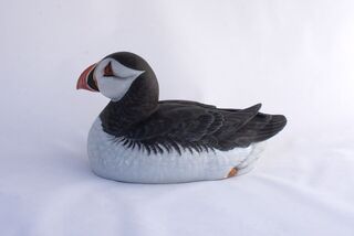 Atlantic Puffin